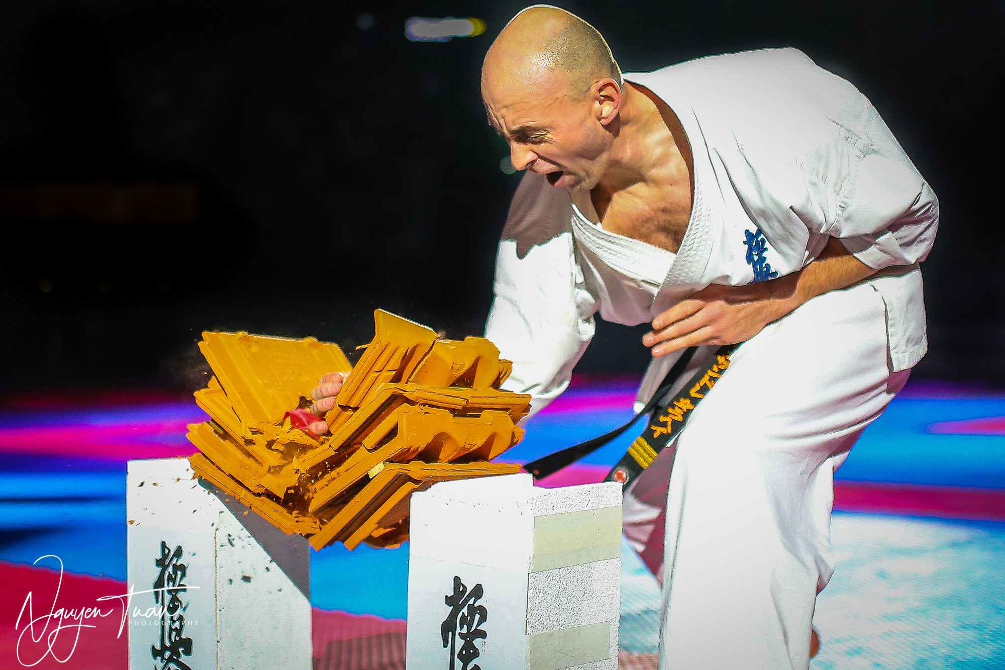 20190324 Festival des Arts Martiaux 5885 2